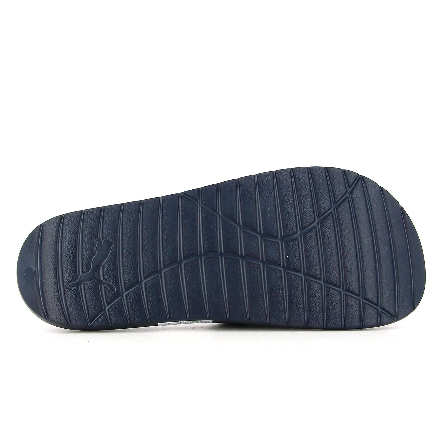 Chanclas Puma Divecat v2 Lite