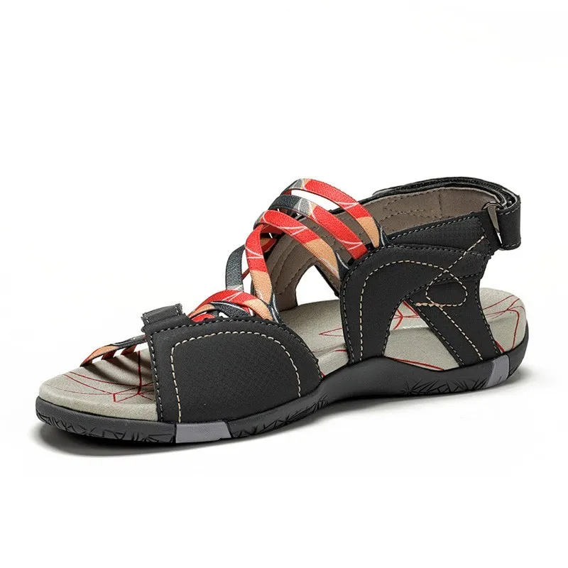 CHIRUCA MALDIVAS    GRIS  ROJO