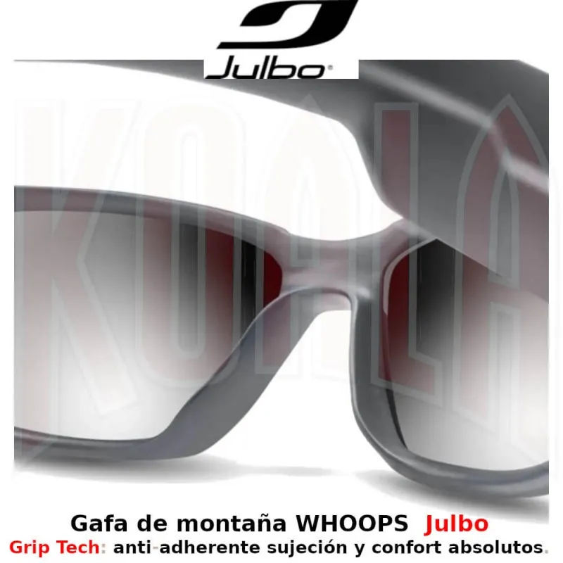 Gafa de montaña WHOOPS Spectron 3 Julbo