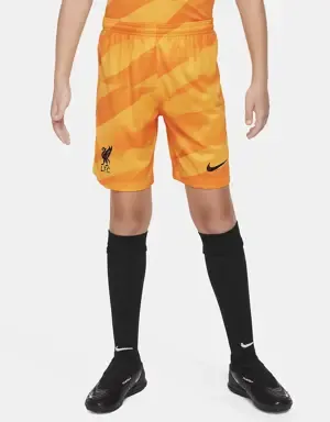 Nike Equipación de portero Stadium Liverpool FC 2023/24